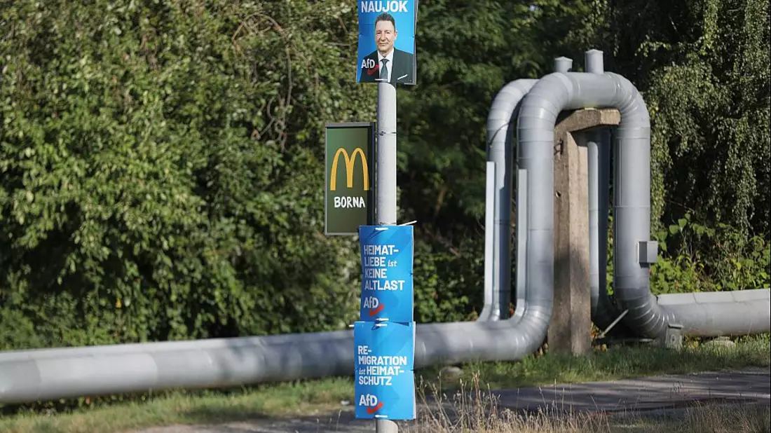 AfD-Wahlplakate zur Landtagswahl in Sachsen (Archiv) - Bild: über dts Nachrichtenagentur