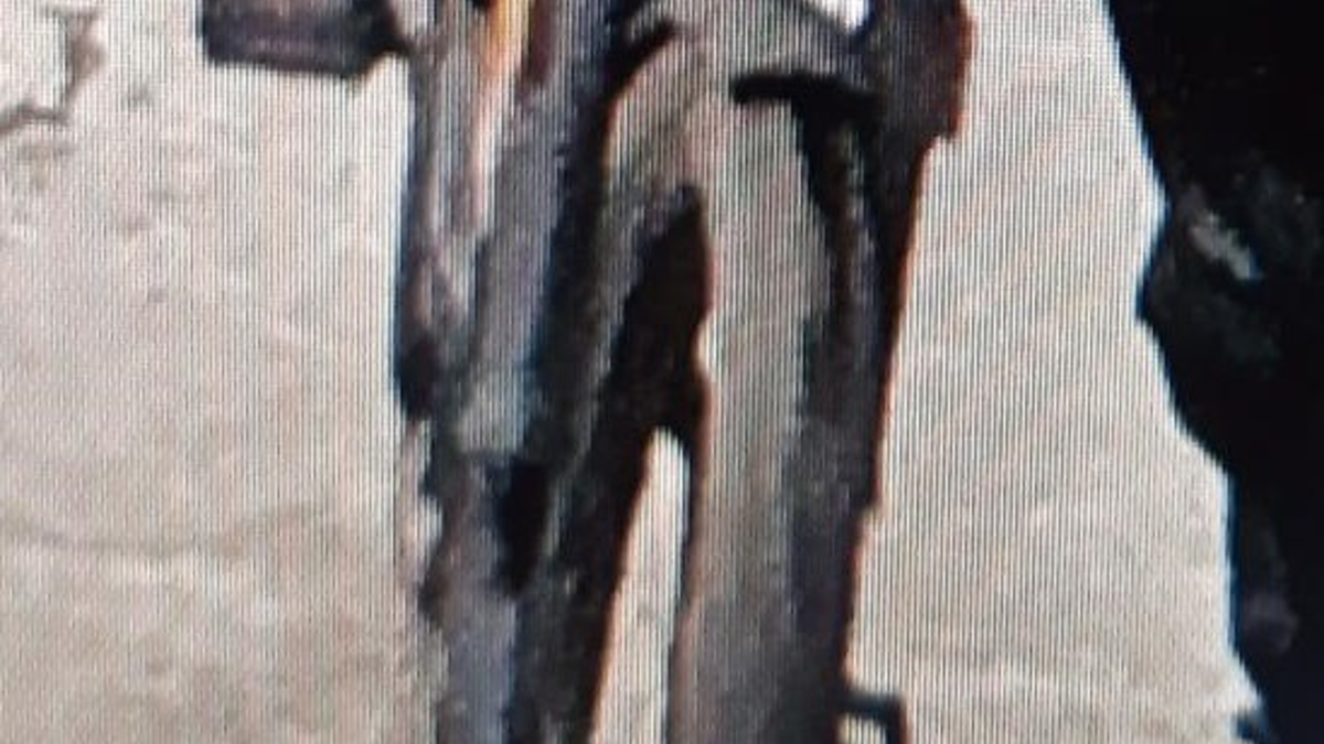 BPOL-HB: Bundespolizei-Fahnder fassen Fahrraddieb - Gestohlenes Pedelec wird noch gesucht - Foto: presseportal.de