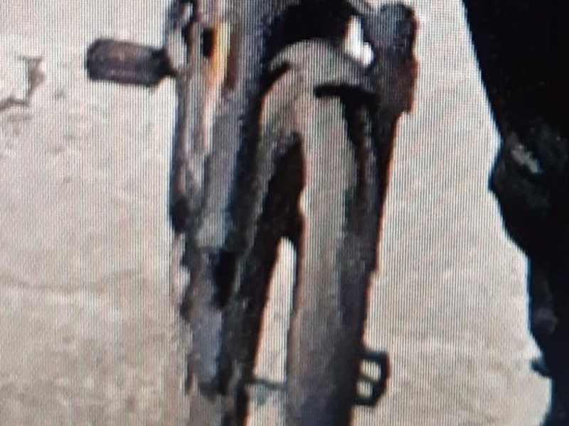 BPOL-HB: Bundespolizei-Fahnder fassen Fahrraddieb - Gestohlenes Pedelec wird noch gesucht - Foto: presseportal.de