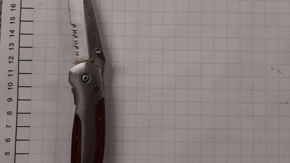 BPOL NRW: Bundespolizei stellt 30-Jährigen mit Messer in S4 - Foto: presseportal.de