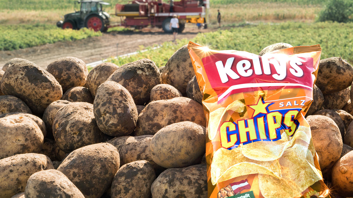  - Foto: Kelly Ges.m.b.H. über pressetext.de