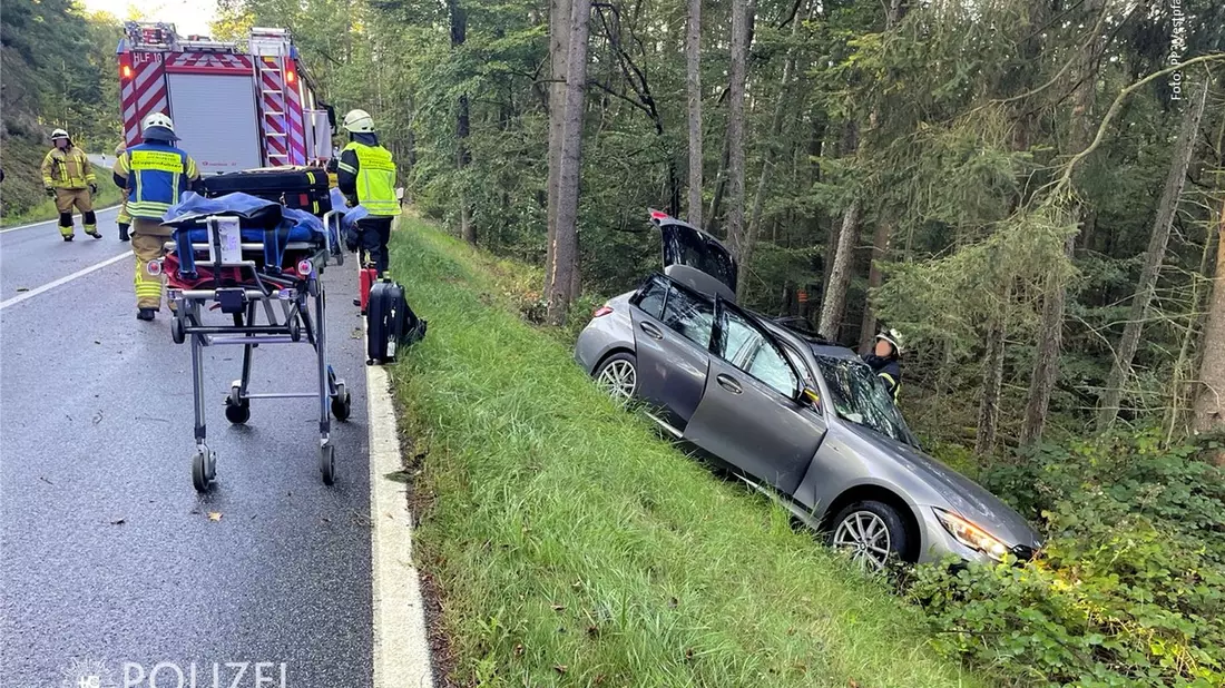 POL-PPWP: Pkw prallt gegen Baum - Bild: presseportal.de