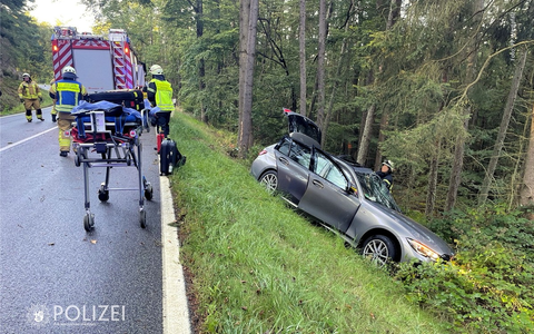 POL-PPWP: Pkw prallt gegen Baum - Foto: presseportal.de