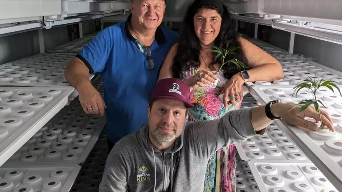 Hanf trifft High-Tech: Natur-Erlebniswelt startet innovative Cannabis-Produktion im High Cube - Bild: presseportal.de
