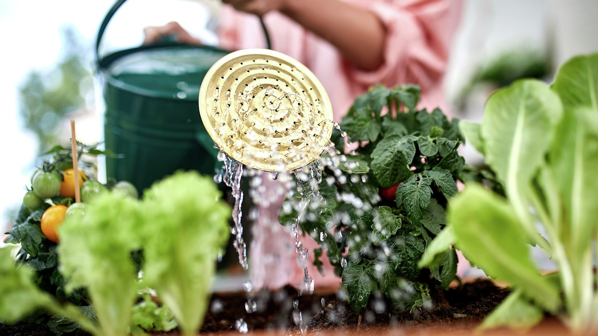 Pflanzenschutz beginnt schon vor der Aussaat - Foto: presseportal.de