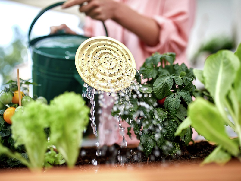Pflanzenschutz beginnt schon vor der Aussaat - Foto: presseportal.de