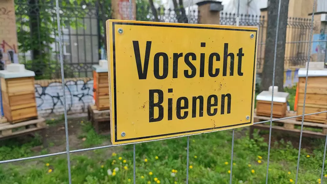 Schild mit der Aufschrift Vorsicht Bienen (Archiv) - Bild: über dts Nachrichtenagentur