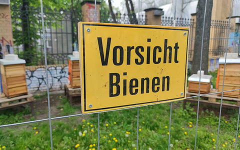 Schild mit der Aufschrift Vorsicht Bienen (Archiv) - Foto: über dts Nachrichtenagentur