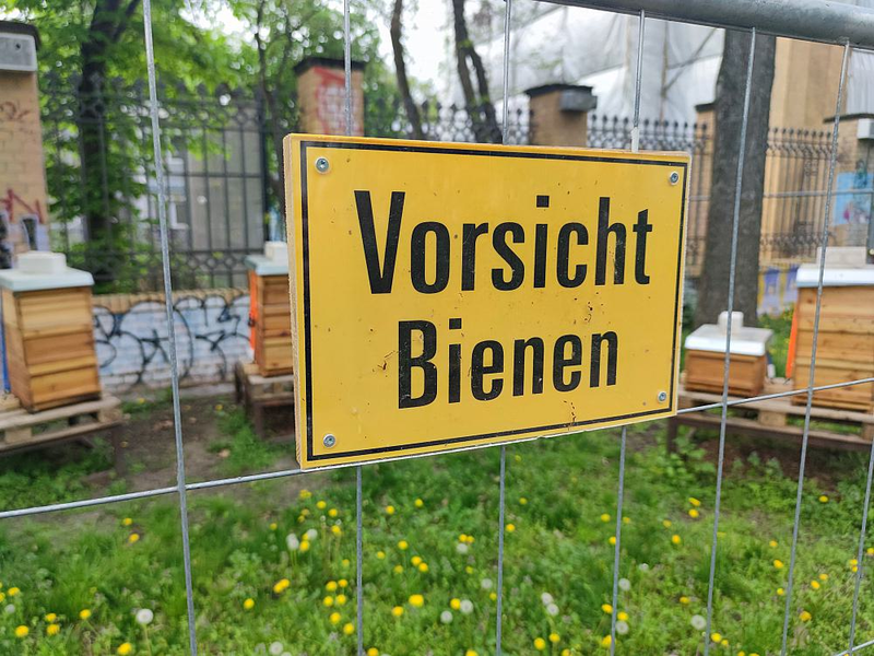 Schild mit der Aufschrift Vorsicht Bienen (Archiv) - Foto: über dts Nachrichtenagentur