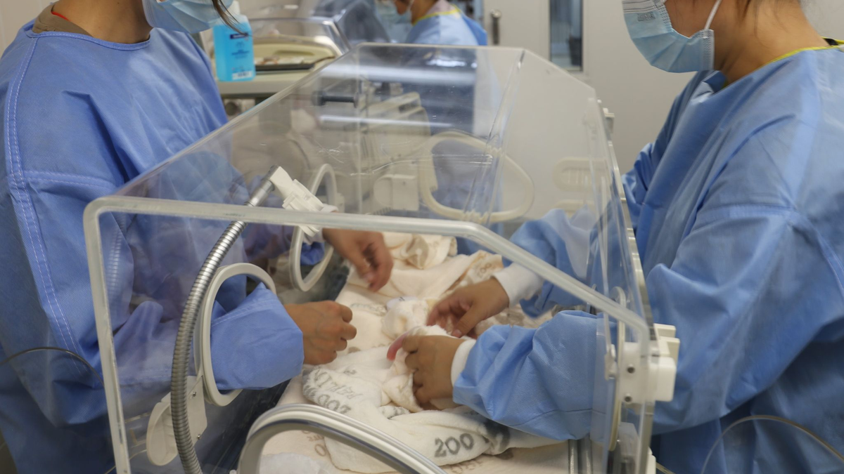 Die Pfoten des kleinen Pandas sind winzig. - Foto: ---/Zoo Berlin/dpa