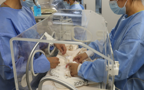 Die Pfoten des kleinen Pandas sind winzig. - Foto: ---/Zoo Berlin/dpa