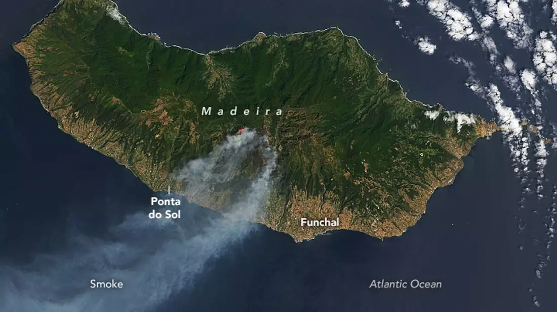 Der Rauch der Waldbrände zieht über die Insel Madeira. Bisher war Portugal in diesem Sommer von größeren Waldbränden verschont geblieben. - Bild: Nasa Earth/ZUMA Press Wire/dpa