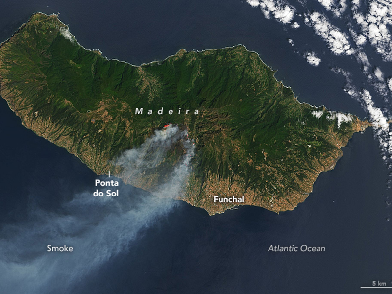 Der Rauch der Waldbrände zieht über die Insel Madeira. Zuvor war Portugal in diesem Sommer von größeren Waldbränden verschont geblieben. - Foto: Nasa Earth/ZUMA Press Wire/dpa