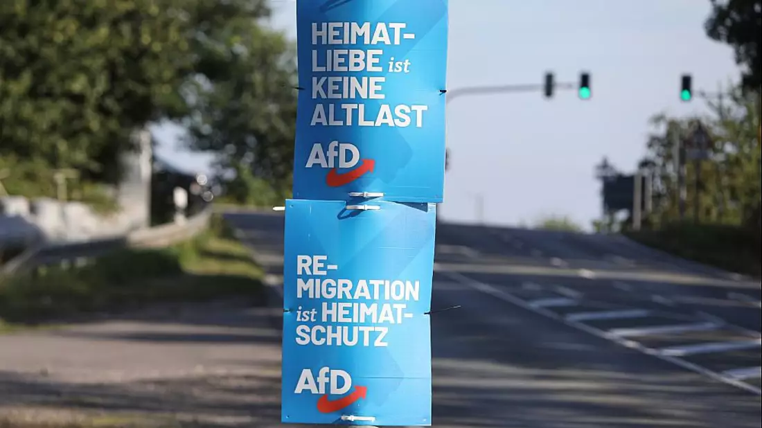 AfD-Wahlplakate zur Landtagswahl in Sachsen (Archiv) - Bild: über dts Nachrichtenagentur