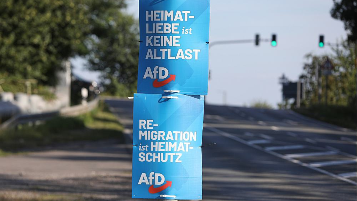 AfD-Wahlplakate zur Landtagswahl in Sachsen (Archiv) - Foto: über dts Nachrichtenagentur