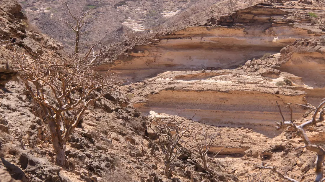 Die Gebirge im Oman ziehen viele Wander-Touristen an - Bild: Manuel Meyer/dpa-tmn