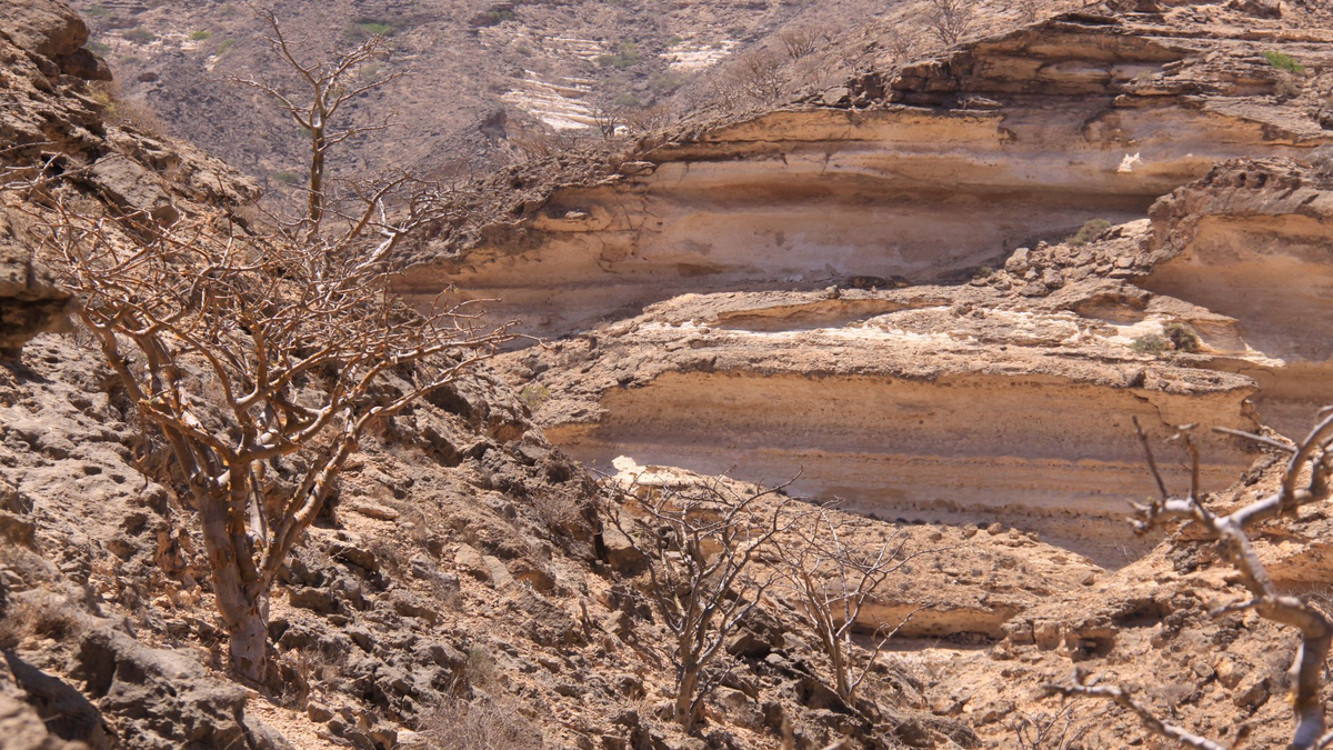 Die Gebirge im Oman ziehen viele Wander-Touristen an - Foto: Manuel Meyer/dpa-tmn