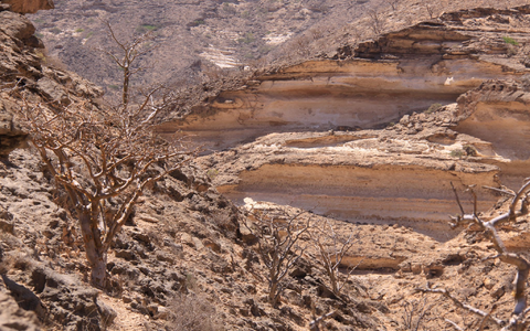 Die Gebirge im Oman ziehen viele Wander-Touristen an - Foto: Manuel Meyer/dpa-tmn
