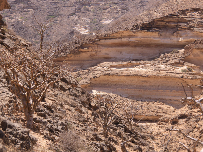 Die Gebirge im Oman ziehen viele Wander-Touristen an - Foto: Manuel Meyer/dpa-tmn