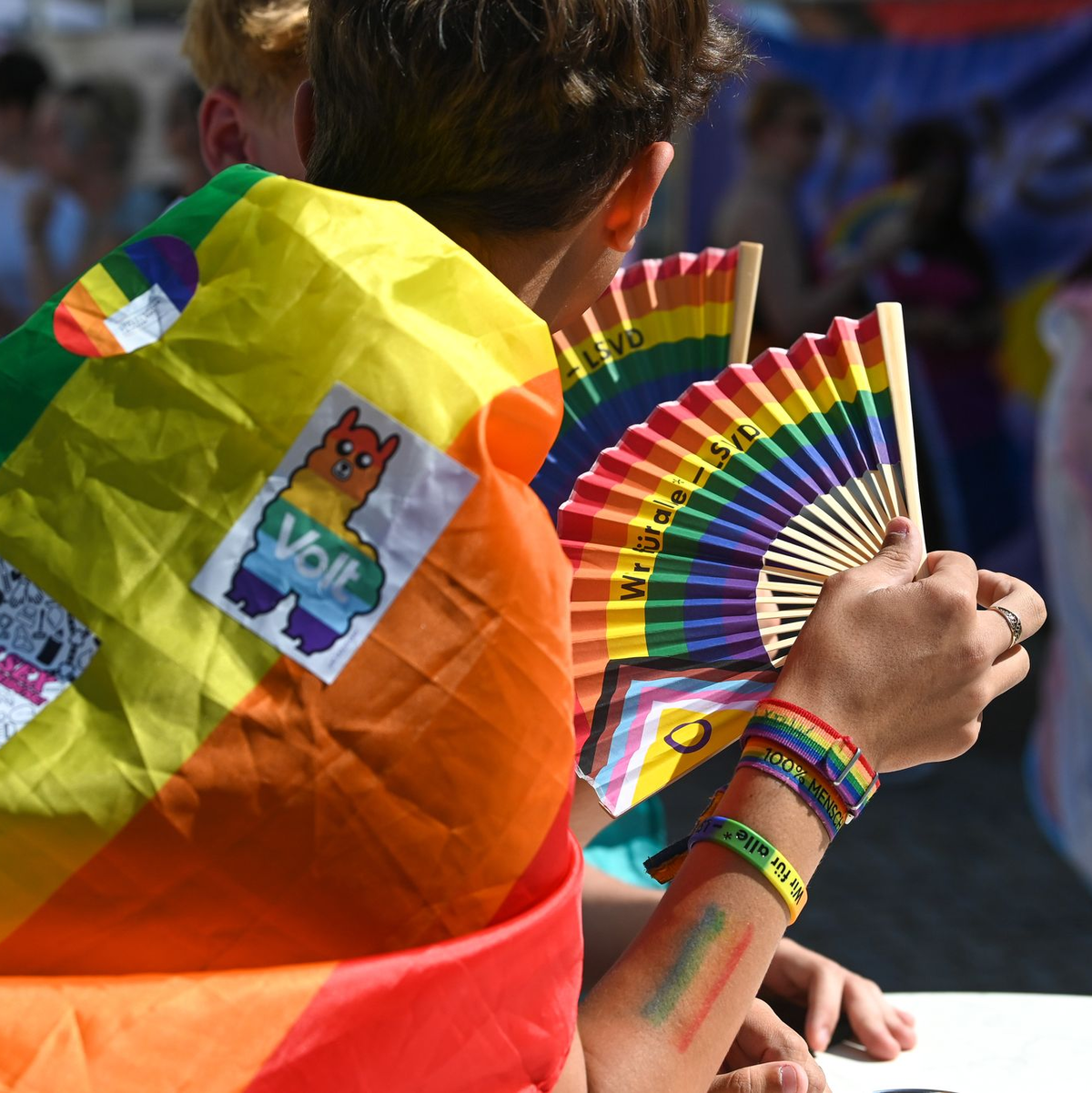 Zum Christopher Street Day in Magdeburg gab es eine queere Parade mit Hunderten Teilnehmerinnen und Teilnehmern durch die Innenstadt. (Archivbild) - Foto: Heiko Rebsch/dpa