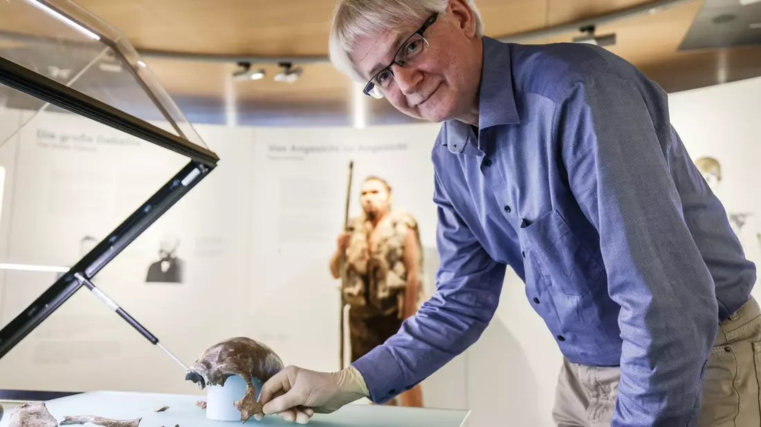 So könnte er ausgesehen haben: Die Rekonstruktion im LVR-Landesmuseum Bonn zeigt den 1856 entdeckten Neandertaler. - Bild: Oliver Berg/dpa