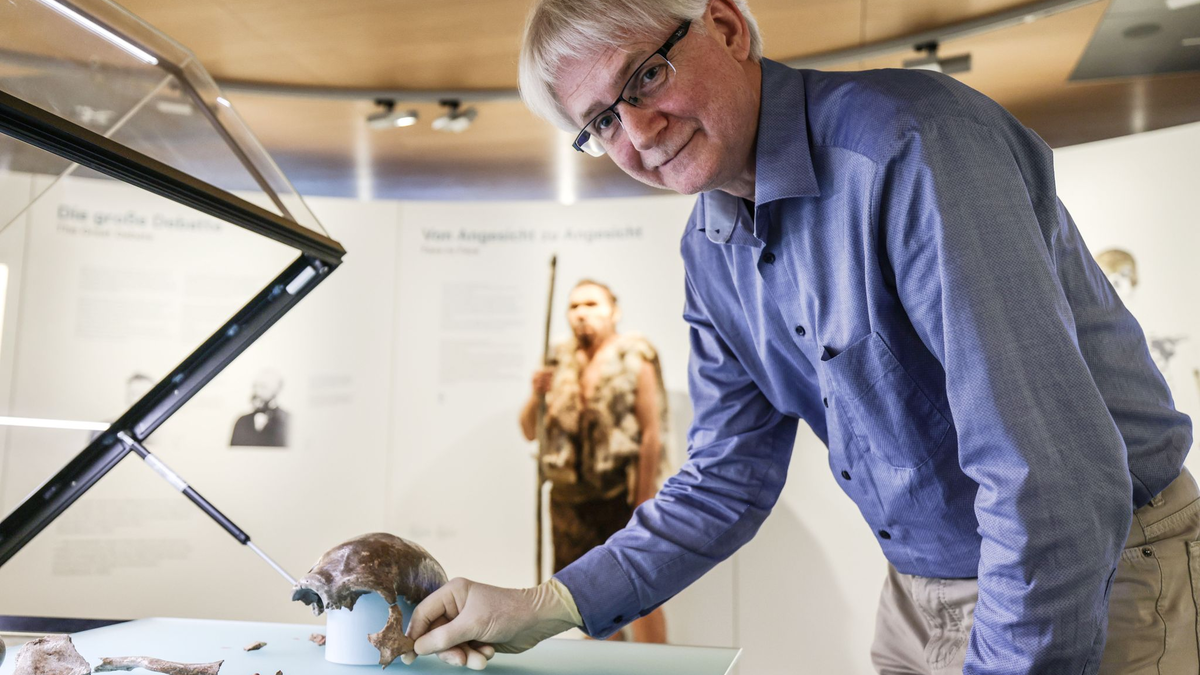 So könnte er ausgesehen haben: Die Rekonstruktion im LVR-Landesmuseum Bonn zeigt den 1856 entdeckten Neandertaler. - Foto: Oliver Berg/dpa