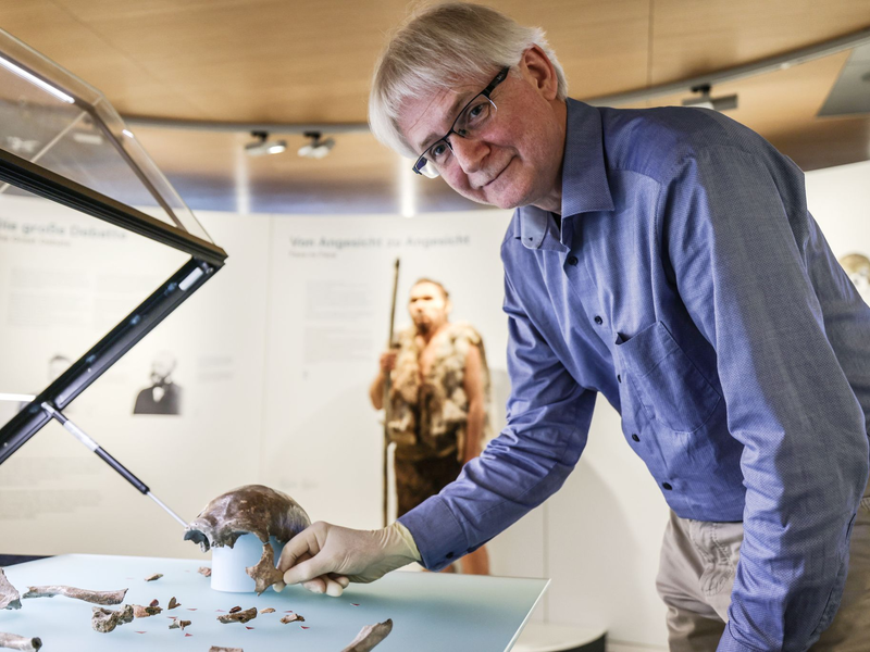 So könnte er ausgesehen haben: Die Rekonstruktion im LVR-Landesmuseum Bonn zeigt den 1856 entdeckten Neandertaler. - Foto: Oliver Berg/dpa