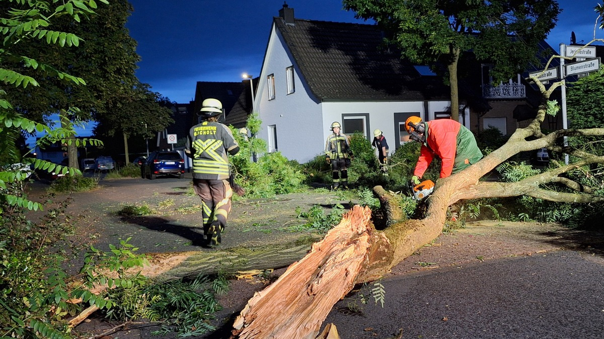 FW Bocholt: Baum auf Straße gestürzt - Foto: presseportal.de