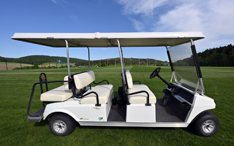 Der Fahrer des Golfcarts war betrunken. (Archivbild) - Foto: Martin Schutt/dpa
