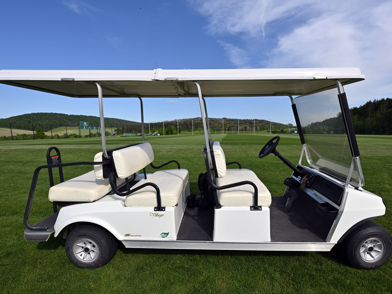 Der Fahrer des Golfcarts war betrunken. (Archivbild) - Foto: Martin Schutt/dpa