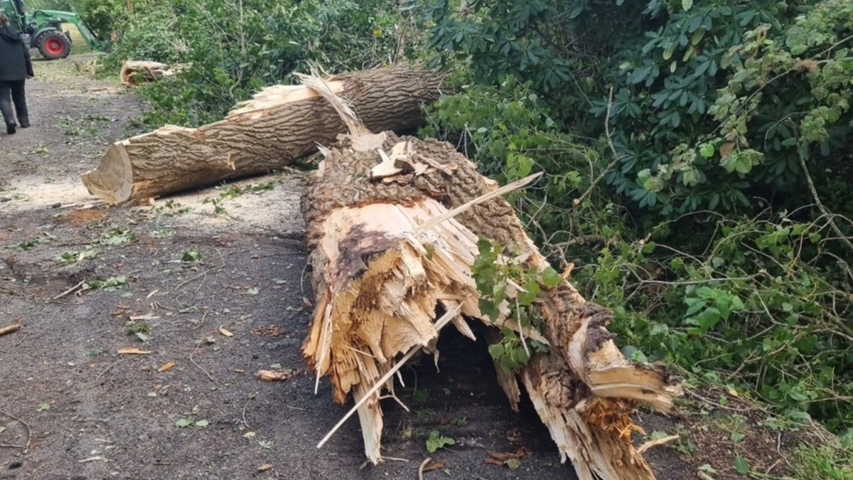 FW-LK Leer: Ein kurzes Gewitter, Sturmböen, eine Windhose und jede Menge Arbeit für die Feuerwehr - Foto: presseportal.de
