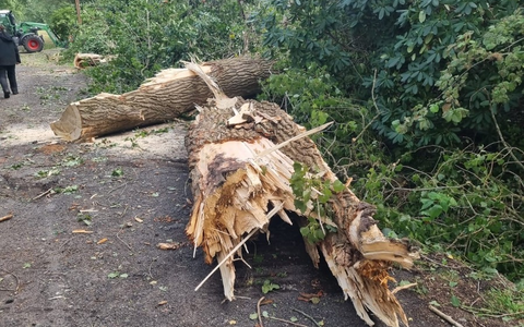 FW-LK Leer: Ein kurzes Gewitter, Sturmböen, eine Windhose und jede Menge Arbeit für die Feuerwehr - Foto: presseportal.de