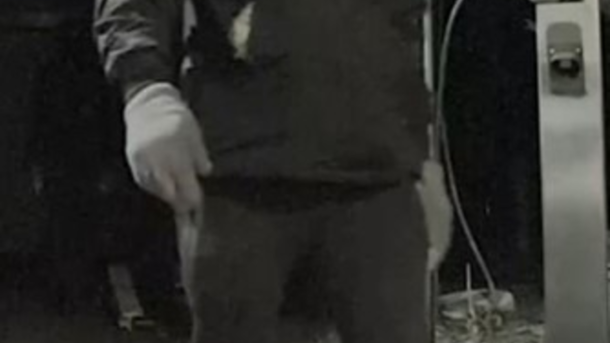 POL-OF: Öffentlichkeitsfahndung nach Wohnungseinbrüchen: Staatsanwaltschaft und Kriminalpolizei veröffentlichen Bilder - Foto: presseportal.de