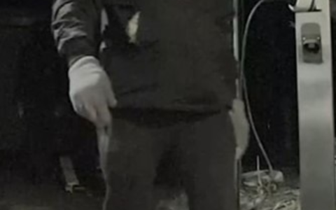 POL-OF: Öffentlichkeitsfahndung nach Wohnungseinbrüchen: Staatsanwaltschaft und Kriminalpolizei veröffentlichen Bilder - Foto: presseportal.de