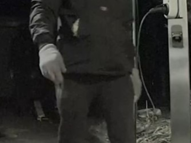 POL-OF: Öffentlichkeitsfahndung nach Wohnungseinbrüchen: Staatsanwaltschaft und Kriminalpolizei veröffentlichen Bilder - Foto: presseportal.de