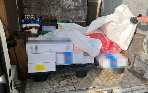 POL-GE: Polizisten stoppen Transporter mit ungekühltem Fleisch auf Ladefläche - Foto: presseportal.de