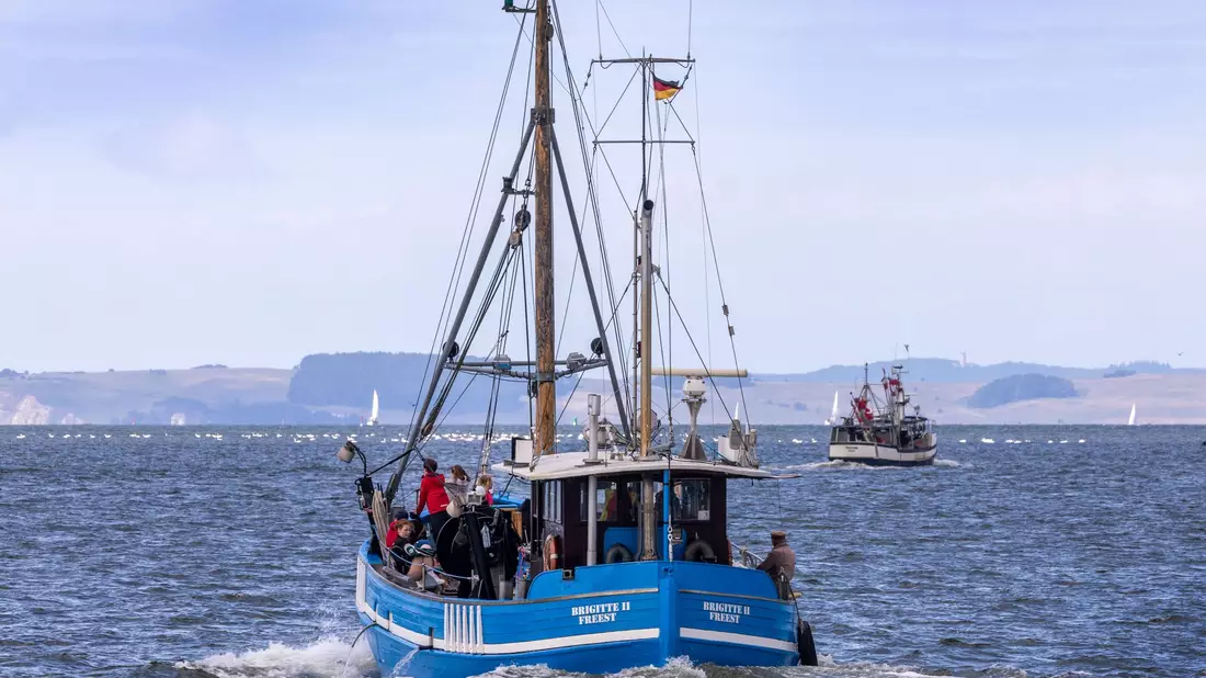 Fischkutter fahren vom Meeresarm Peenestrom auf die Ostsee. - Bild: Jens Büttner/dpa
