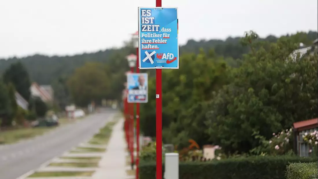 AfD-Wahlplakate zur Landtagswahl in Brandenburg (Archiv) - Bild: über dts Nachrichtenagentur