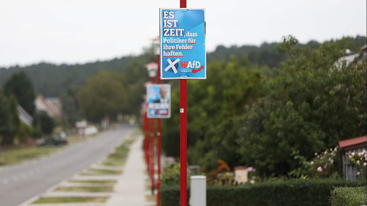 AfD-Wahlplakate zur Landtagswahl in Brandenburg (Archiv) - Foto: über dts Nachrichtenagentur