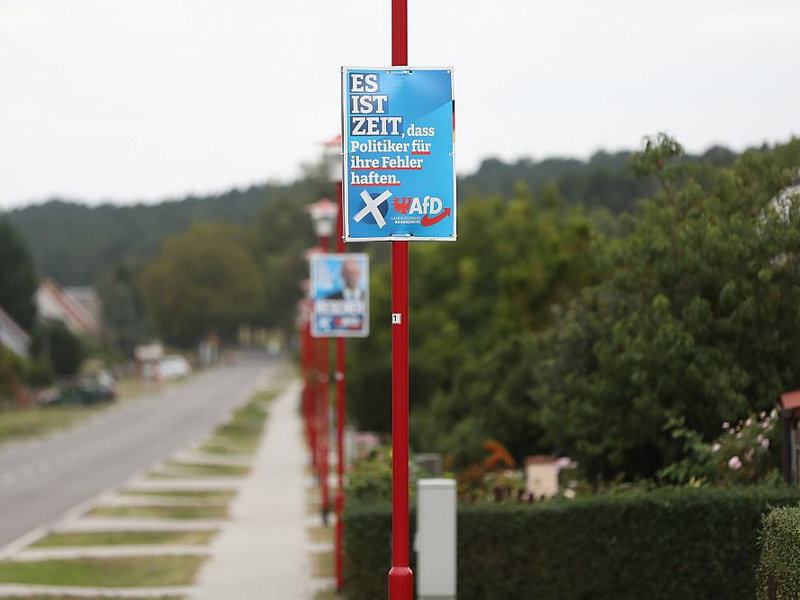 AfD-Wahlplakate zur Landtagswahl in Brandenburg (Archiv) - Foto: über dts Nachrichtenagentur