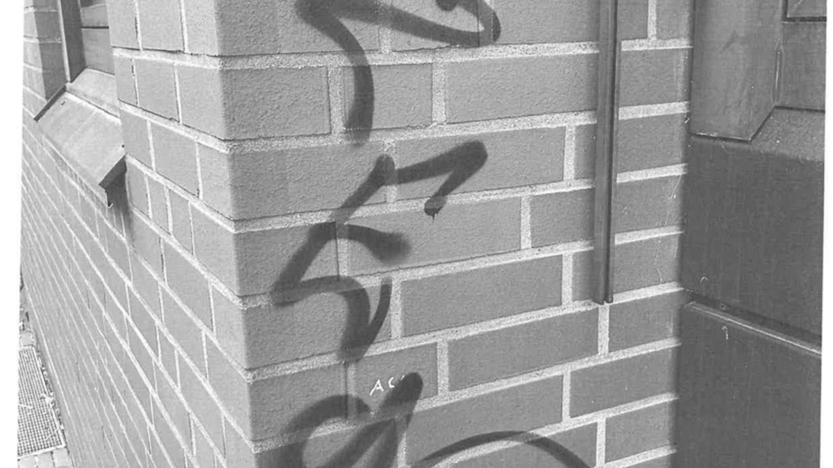 POL-EL: Lingen - Hauswand mit Farbe beschmiert - Foto: presseportal.de