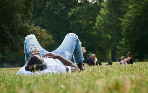 Musik hören im Park auf der Wiese - mehr Sommer geht kaum. Was wird der Sommerhit '24? (Illustration) - Foto: Annette Riedl/dpa Musik hören im Park auf der Wiese - mehr Sommer geht kaum. Was wird der Sommerhit '24? (Illustration) - Foto: Annette Riedl/dpa