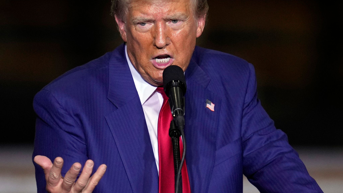 Trump: «Wir wollen mehr Babys, um es nett auszudrücken.» - Foto: Paul Sancya/AP/dpa