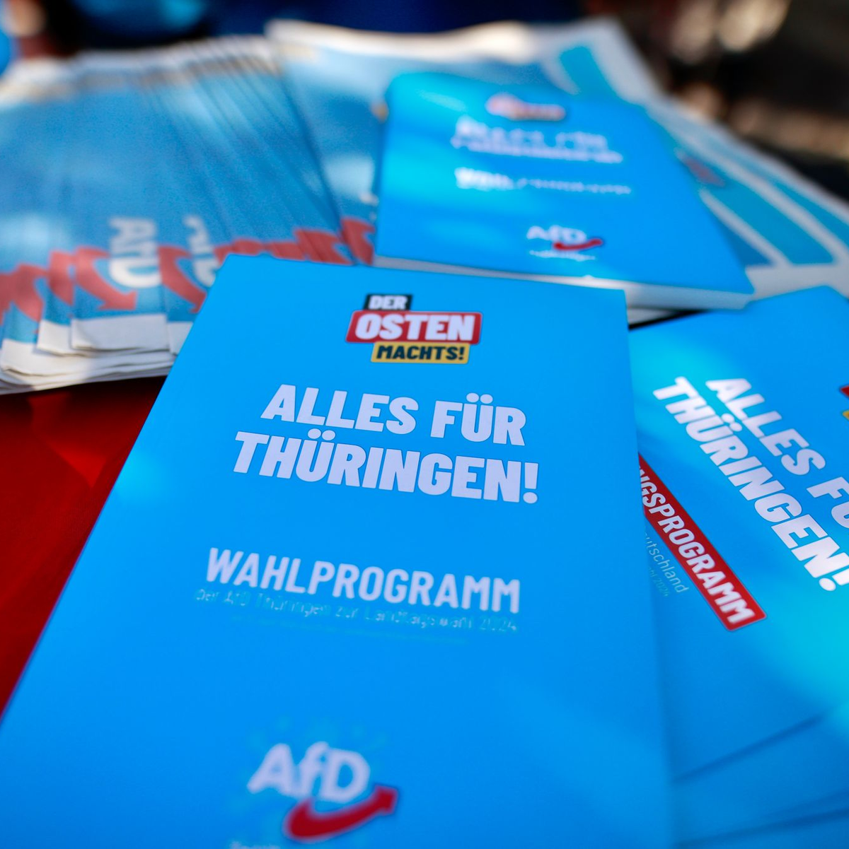 Die AfD kann laut Umfrage bei der Wahl in Thüringen damit rechnen, stärkste Partei zu werden.  - Foto: Matthias Bein/dpa