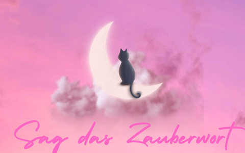 Anime-Fans aufgepasst: K-Fly x McN verzaubern mit dem Song Sag das Zauberwort (Sailor Moon) - Foto: presseportal.de