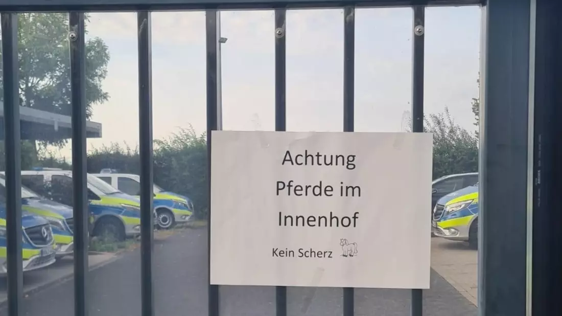 POL-AC: Gemeinsamer Einsatz der Polizei Köln und Polizei Aachen: Achtung Pferde im Innenhof - Kein Scherz! - Bild: presseportal.de