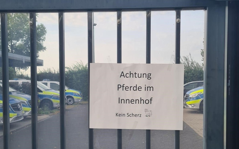 POL-AC: Gemeinsamer Einsatz der Polizei Köln und Polizei Aachen: Achtung Pferde im Innenhof - Kein Scherz! - Foto: presseportal.de