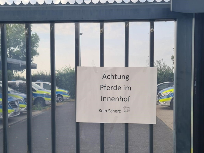 POL-AC: Gemeinsamer Einsatz der Polizei Köln und Polizei Aachen: Achtung Pferde im Innenhof - Kein Scherz! - Foto: presseportal.de
