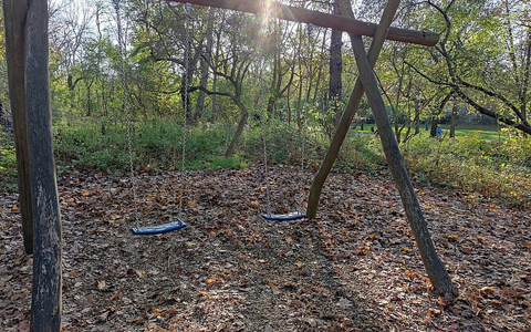 Schaukel (Archiv) - Foto: über dts Nachrichtenagentur