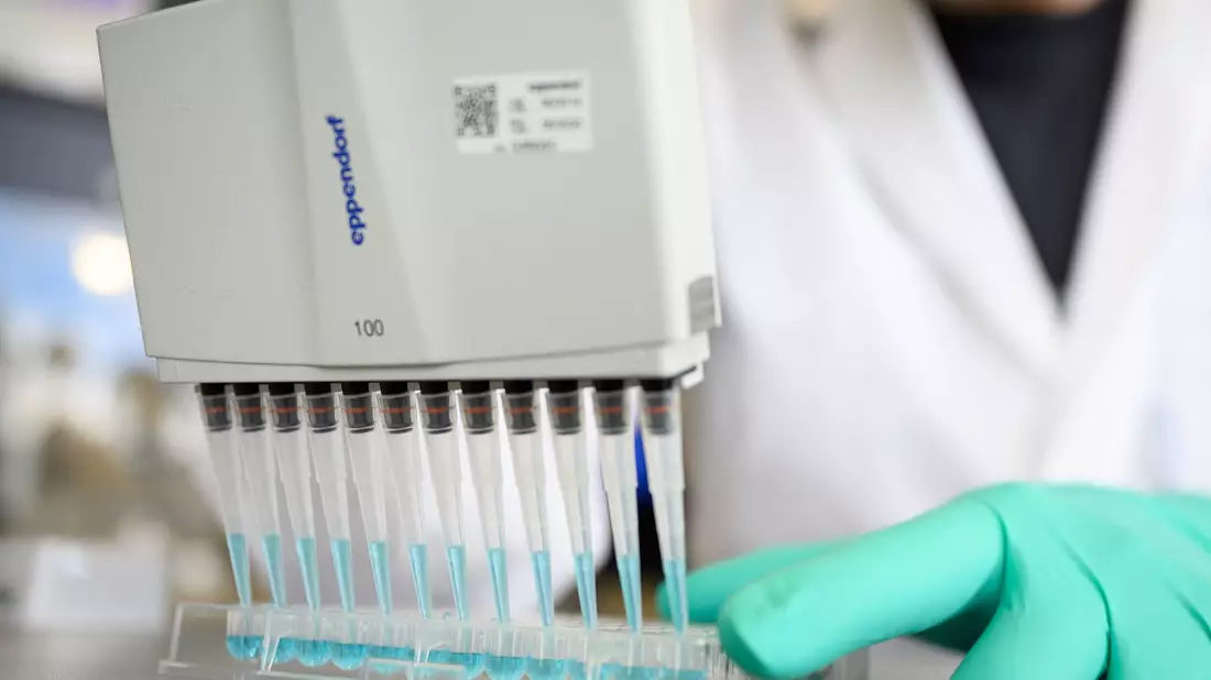 Auch Beschäftigte in der Pharmaforschung gehören laut der IW-Studie zu den am besten bezahlten Fachkräften. (Archivbild) - Bild: Sebastian Gollnow/dpa